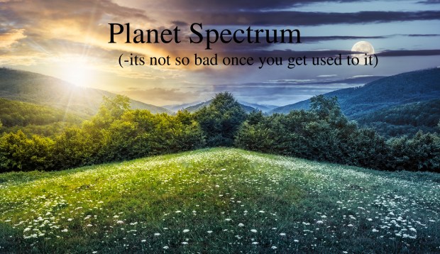 composite landscape with forest  in mountains