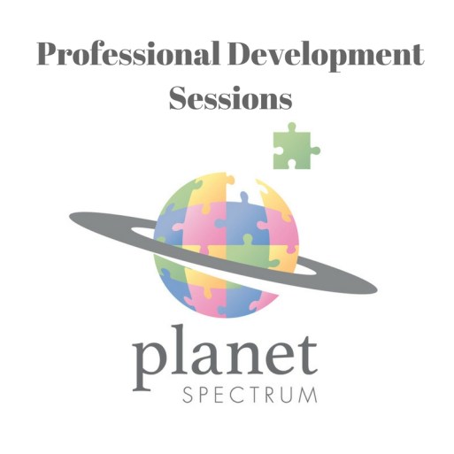 professionaldevelopment-sessions